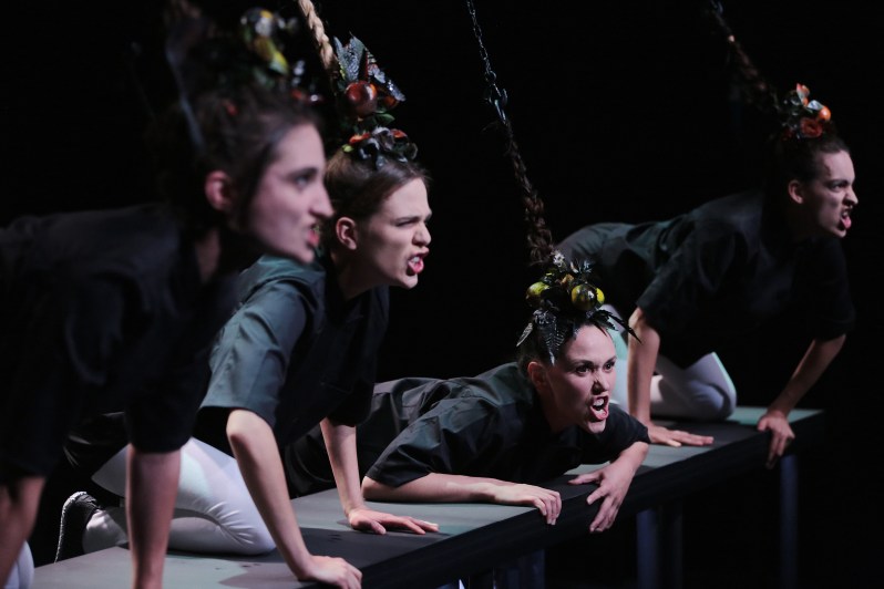 FloraDetraz3©BrunoSimao